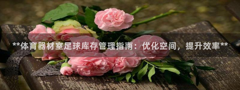 星欧娱乐彩票软件下载：**体育器材室足球库存管理指南