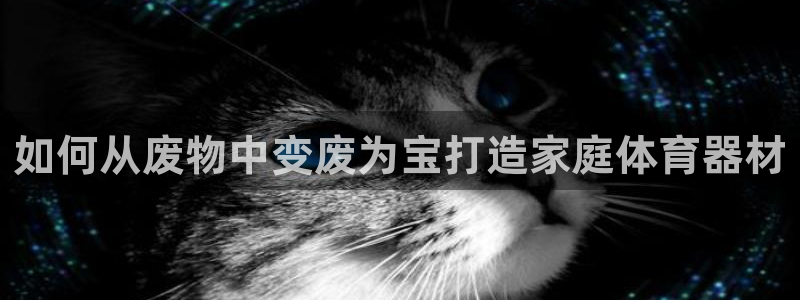 星欧娱乐平台怎么样啊安全吗：如何从废物中变废为宝打造
