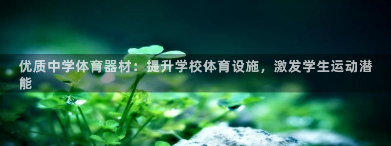 星奥娱乐怎么样知乎：优质中学体育器材：提升学校体育设