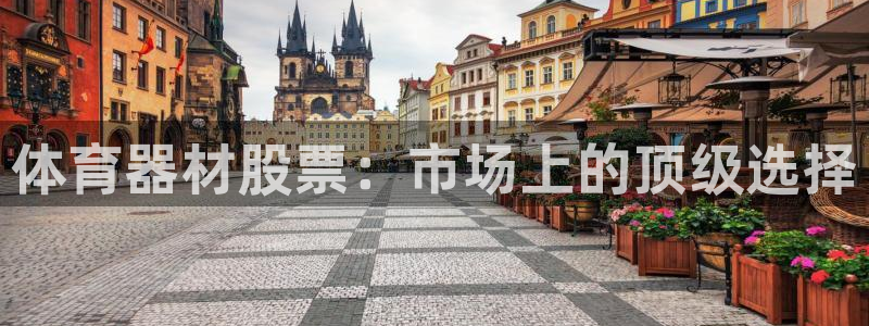 星娱乐是谁的公司：体育器材股票：市场上的顶级选择