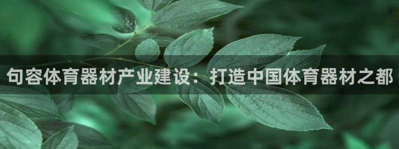 星欧娱乐最建议买的三个产品：句容体育器材产业建设：打