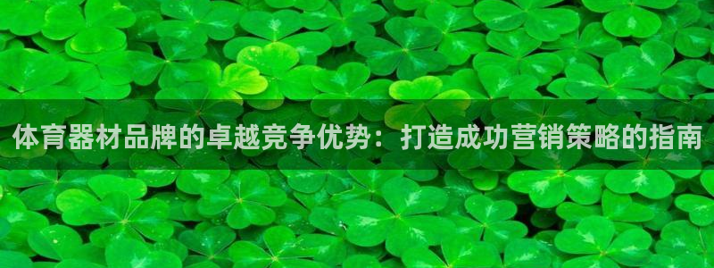 星欧娱乐扣款：体育器材品牌的卓越竞争优势：打造成功营