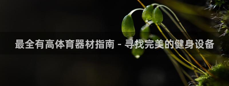 星欧娱乐游戏官网：最全有高体育器材指南 - 寻找完美