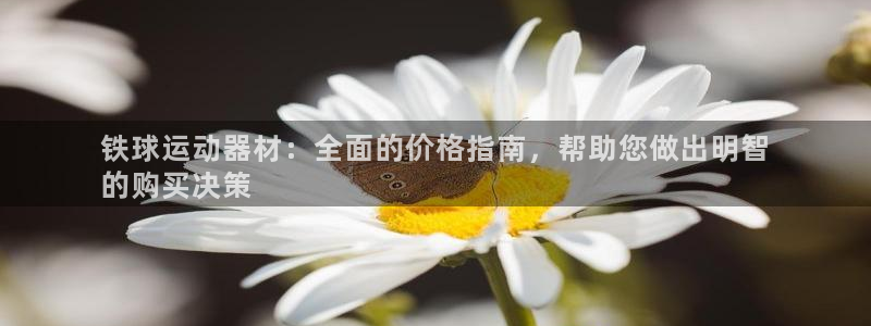 江苏星奥娱乐有限公司招聘：铁球运动器材：全面的价格指