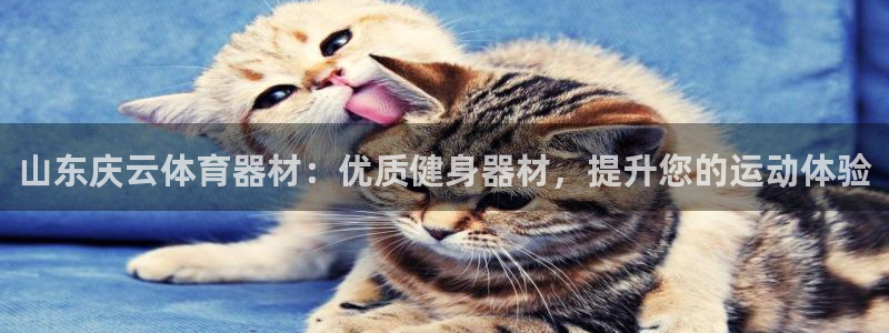 星欧娱乐扣款怎么回事：山东庆云体育器材：优质健身器材