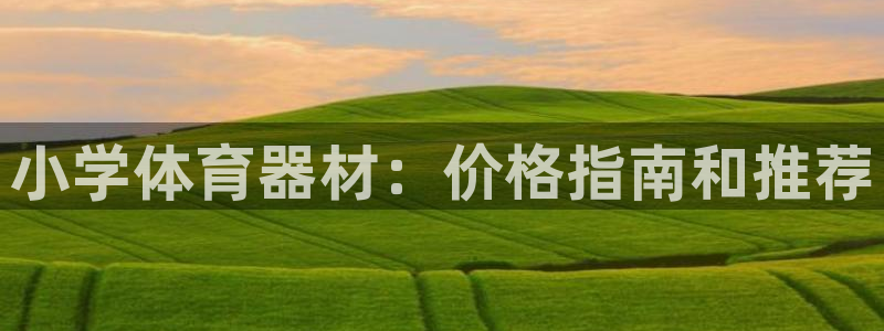 星欧娱乐联售后服务评价：小学体育器材：价格指南和推荐