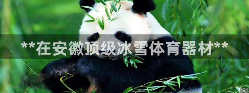 星欧娱乐的官方版本更新内容有哪些：**在安徽顶级冰雪