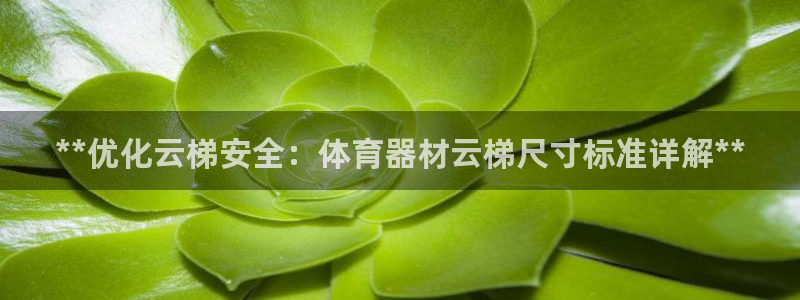 欧亿测速娱乐：**优化云梯安全：体育器材云梯尺寸标准