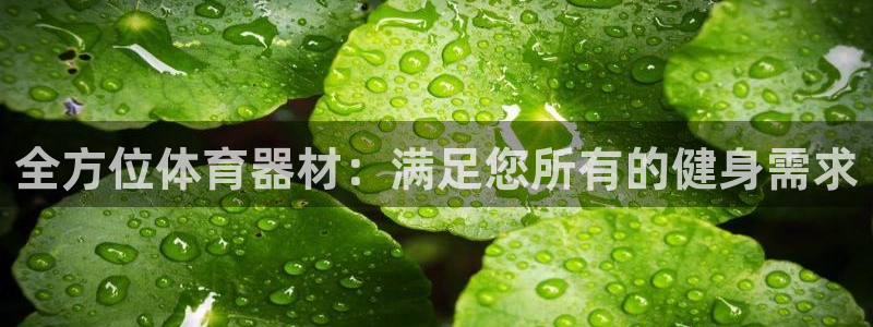 星欧娱乐平台怎么样可靠吗安全吗：全方位体育器材：满足
