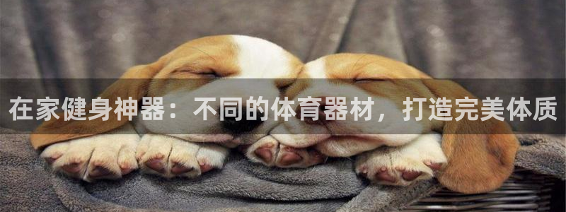 星欧娱乐属于什么档次的网站