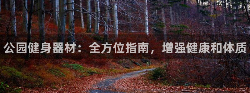 星奥娱乐招聘：公园健身器材：全方位指南，增强健康和体