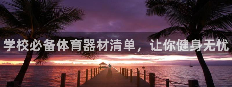 星奥娱乐集团怎么样：学校必备体育器材清单，让你健身无