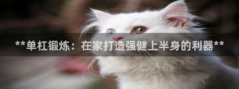 欧亿测速娱乐：**单杠锻炼：在家打造强健上半身的利器