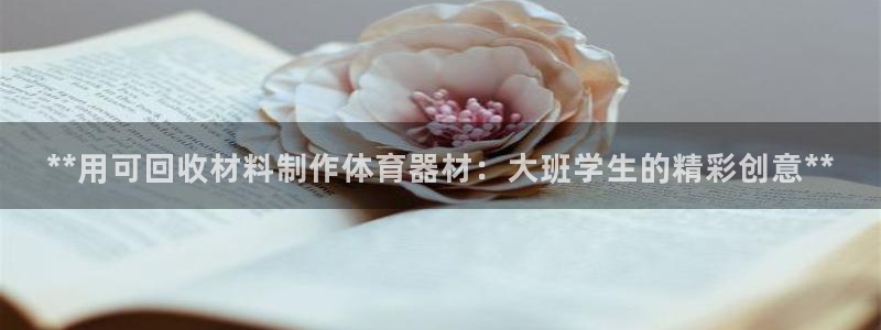 星乐娱乐：**用可回收材料制作体育器材：大班学生的精
