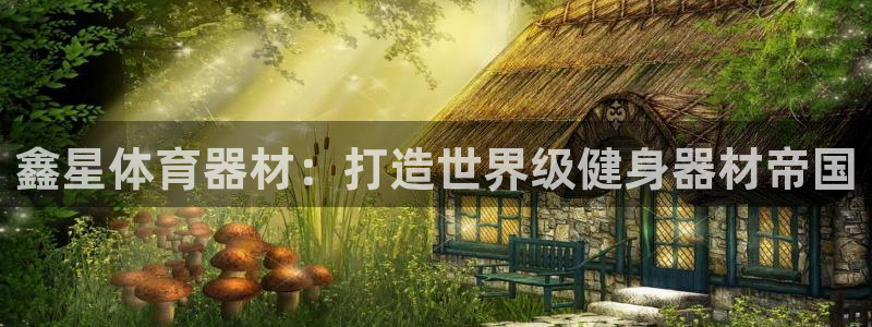 星欧娱乐的官方版本更新内容有哪些：鑫星体育器材：打造