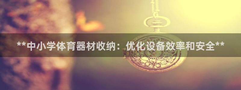 永韬星娱乐：**中小学体育器材收纳：优化设备效率和安