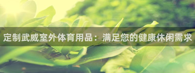 星欧娱乐公司简介：定制武威室外体育用品：满足您的健康