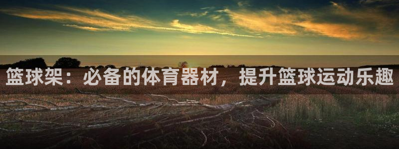 星欧娱乐伐官网注册：篮球架：必备的体育器材，提升篮球