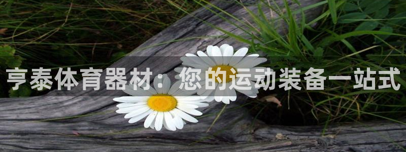 星欧娱乐联游戏评测：亨泰体育器材：您的运动装备一站式