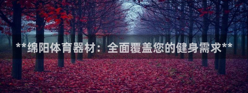 星欧娱乐公司创始人背景故事简介：**绵阳体育器材：全