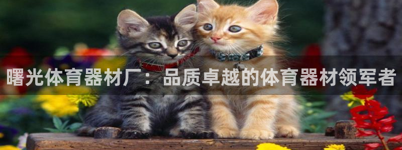 星欧娱乐是正规平台吗知乎：曙光体育器材厂：品质卓越的