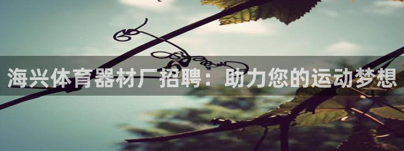 星奥娱乐集团官网：海兴体育器材厂招聘：助力您的运动梦