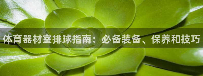 星欧娱乐平台方7O777：体育器材室排球指南：必备装