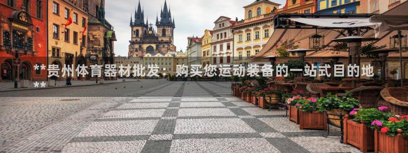 星欧娱乐官方客服联系方式：**贵州体育器材批发：购买