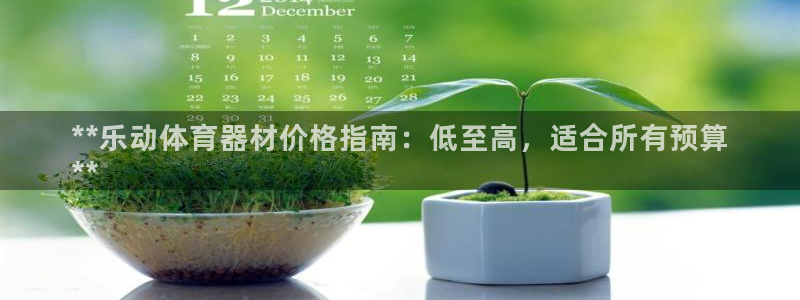 星欧娱乐属于什么档次的软件公司：**乐动体育器材价格