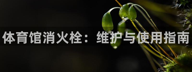 星欧娱乐最建议买的三个产品是哪三个：体育馆消火栓：维