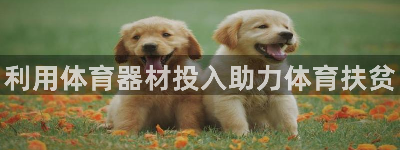 星欧娱乐扣款流程详解图片大全：利用体育器材投入助力体