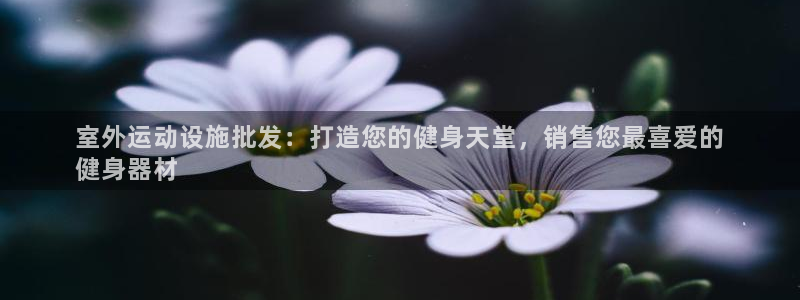 星乐娱乐官网：室外运动设施批发：打造您的健身天堂，销