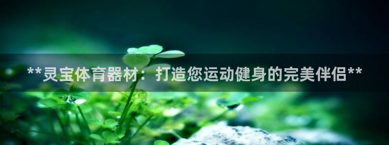 星欧娱乐扣款时间查询方法怎么查：**灵宝体育器材：打