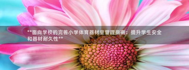 星奥娱乐旗下艺人：**面向学校的完善小学体育器材室管