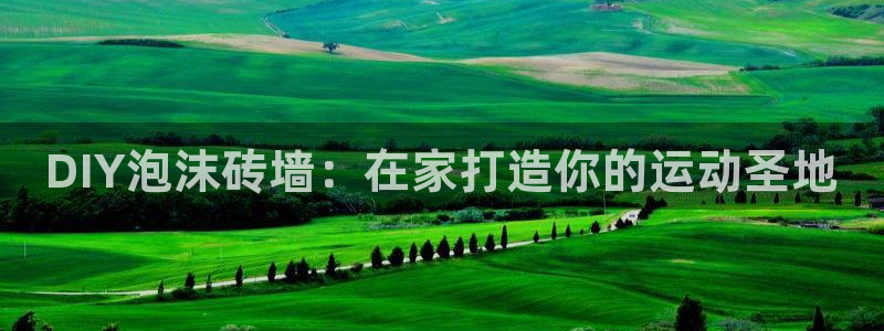 星欧娱乐最建议买的三个产品是什么意思：DIY泡沫砖墙