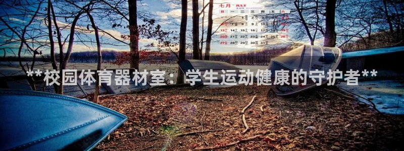 星奥娱乐待遇怎么样：**校园体育器材室：学生运动健康