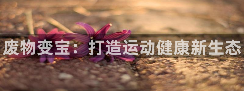 星欧娱乐公司创始人背景故事简介：废物变宝：打造运动健