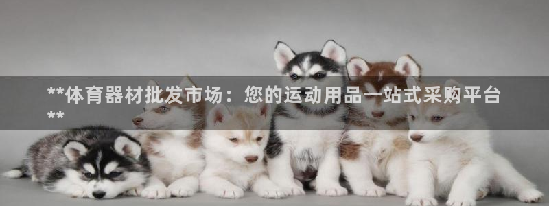 江苏星奥娱乐招艺人：**体育器材批发市场：您的运动用