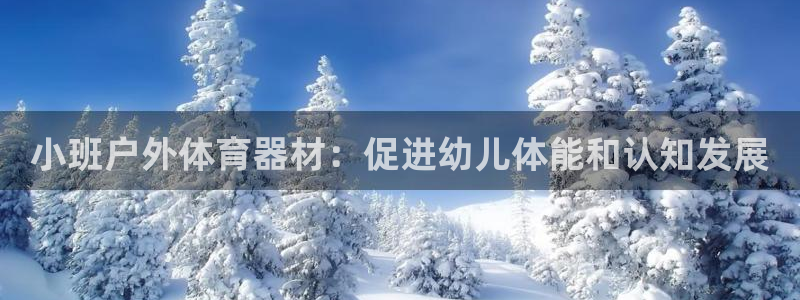 星欧娱乐平台：小班户外体育器材：促进幼儿体能和认知发