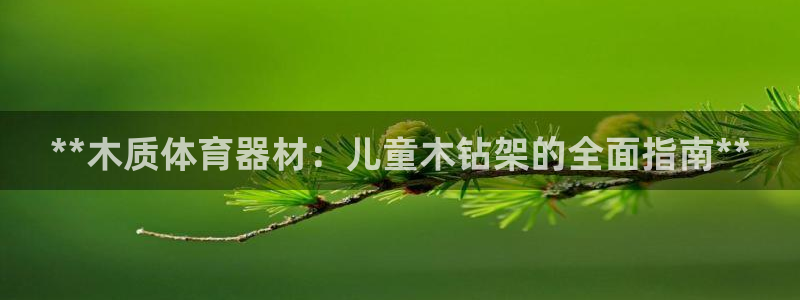星欧娱乐挂机赚钱软件：**木质体育器材：儿童木钻架的