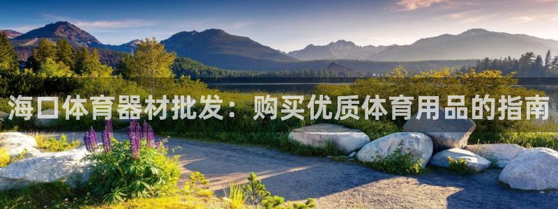 星欧娱乐热最建议去的三个地方：海口体育器材批发：购买