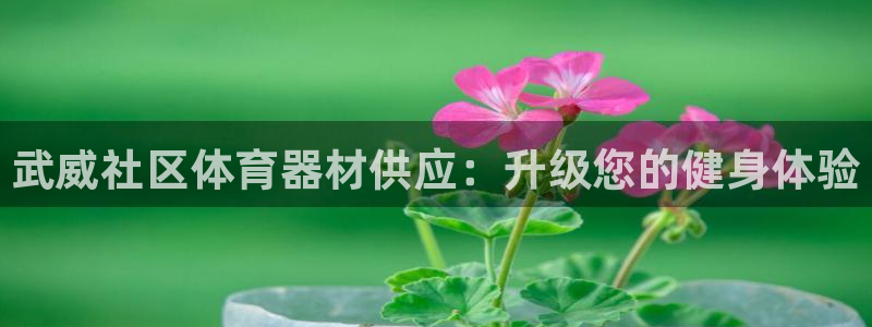 星奥娱乐集团官网：武威社区体育器材供应：升级您的健身