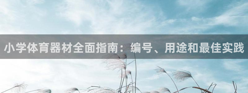 江苏星奥娱乐：小学体育器材全面指南：编号、用途和最佳