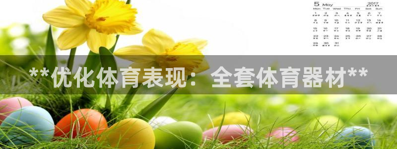 星欧娱乐公司创始人背景故事介绍：**优化体育表现：全