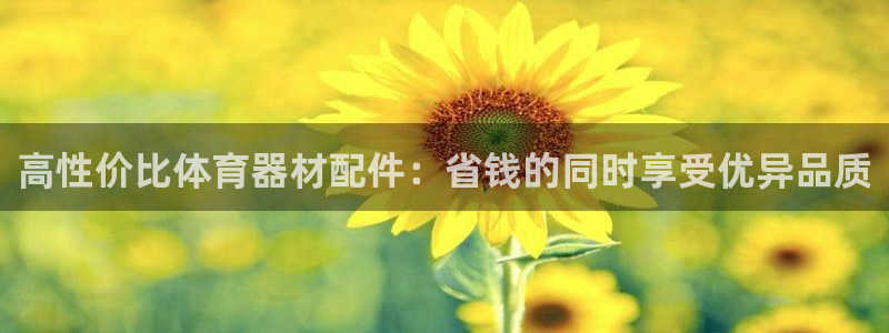星欧娱乐最建议买的三个产品有哪些内容：高性价比体育器