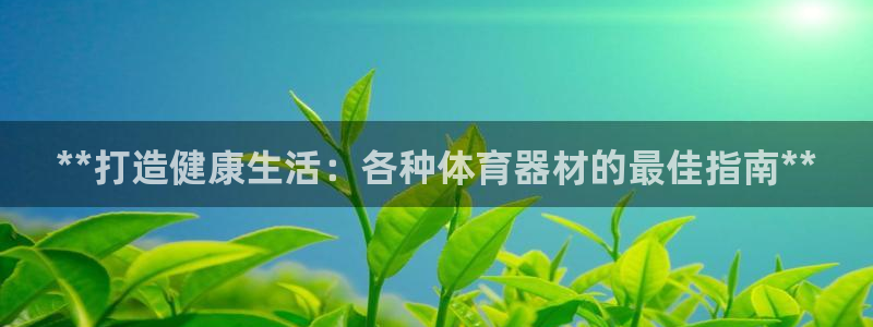 星欧娱乐彩票软件下载：**打造健康生活：各种体育器材
