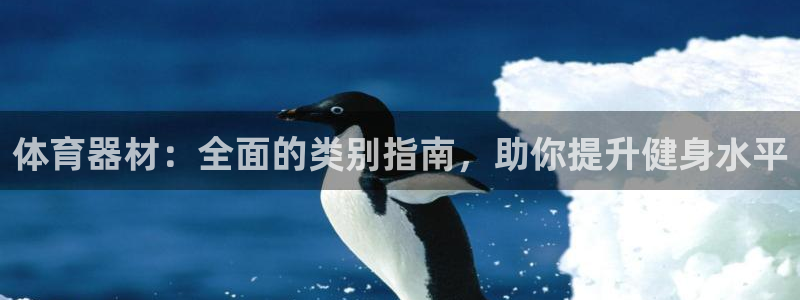 星欧娱乐工711.112扣费通知：体育器材：全面的类