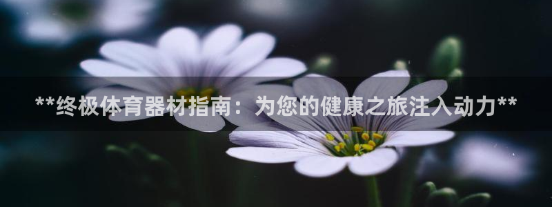 江苏星奥娱乐有限公司出过哪些艺人：**终极体育器材指