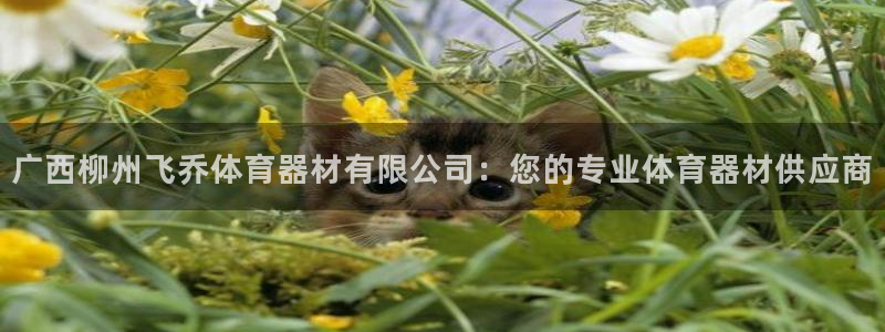 星娱乐文化传媒：广西柳州飞乔体育器材有限公司：您的专