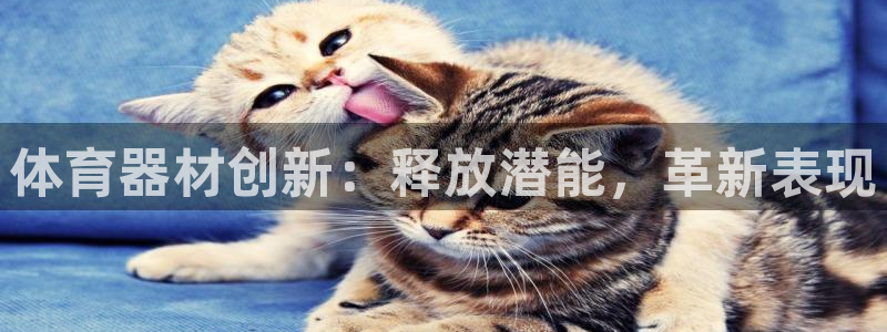 星欧娱乐扣款时间查询方法怎么查不了：体育器材创新：释